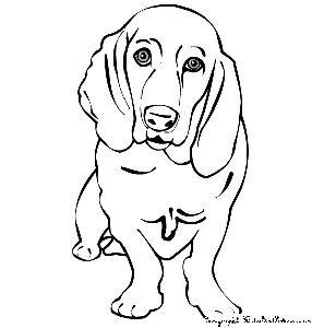 Dogs 16 